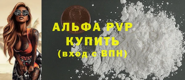 индика Богородицк