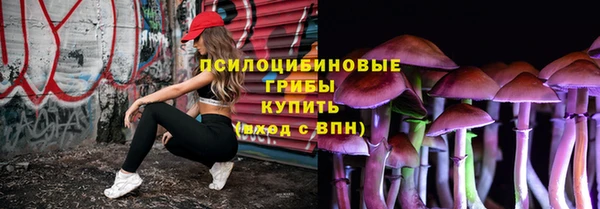 дурь Михайловск