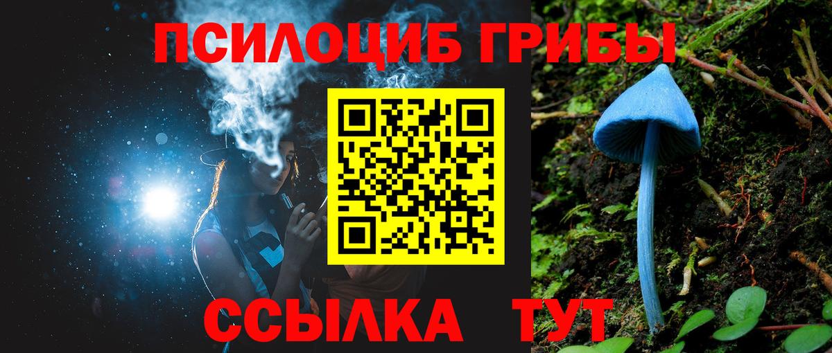 Псилоцибиновые грибы Psilocybine cubensis  Галлюциногенные грибы Cubensis  Рассказово 